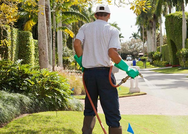 About Mooresville AL Pest Control